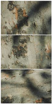 Peace, Triptych - Thomas L. Mann