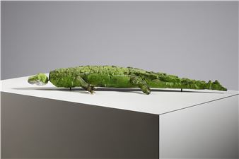 The crocodile - Bruno Raspanti