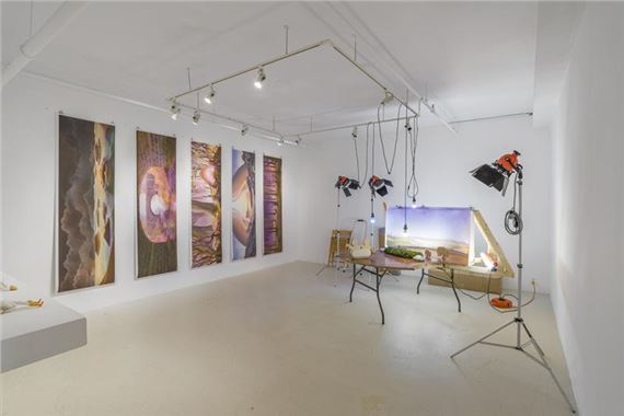 Zipertatou & Maxime Bruneau: Grosse Terre Boule - Galerie B-312