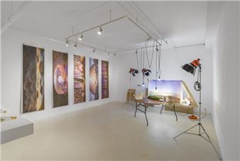 Zipertatou & Maxime Bruneau: Grosse Terre Boule - Galerie B-312