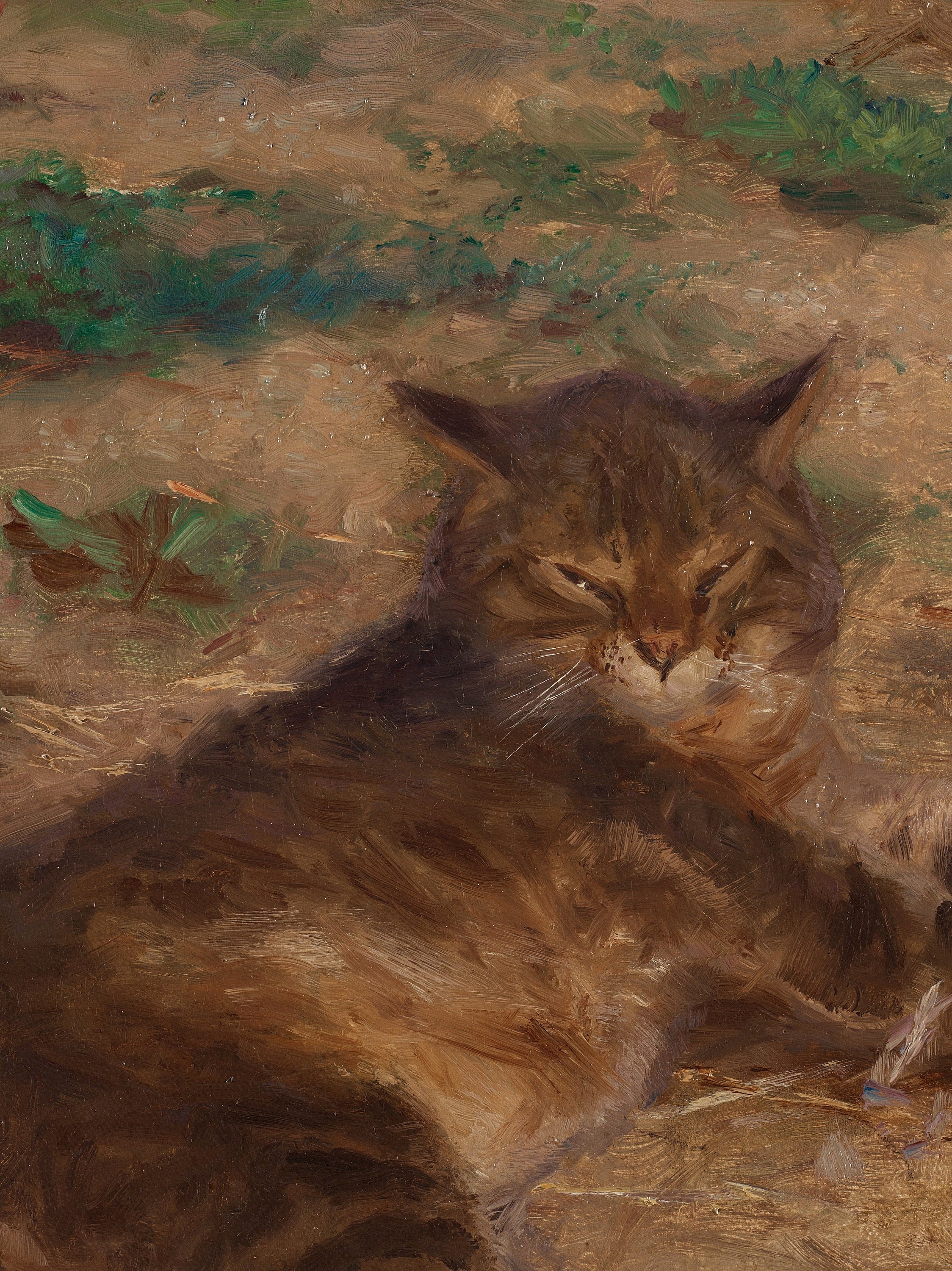 Artwork by Bruno Liljefors, "Katt och sädesärla" (Cat with wagtail), Made of Canvas