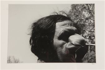 Untitled - Judith Toplin