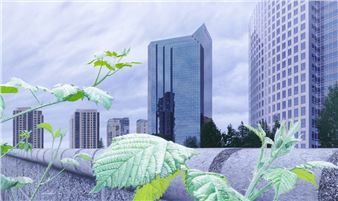 Return to Pangaea - David Bobroff