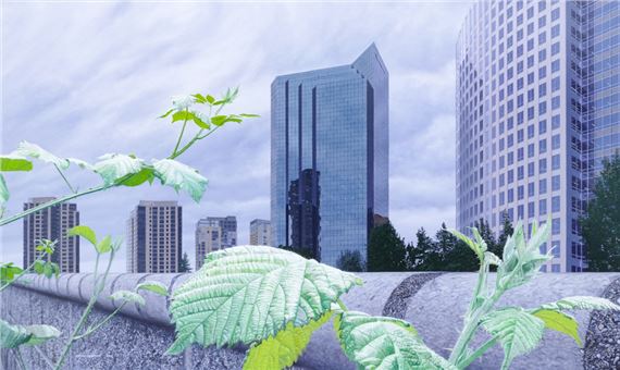 Return to Pangaea by David Bobroff, 2016