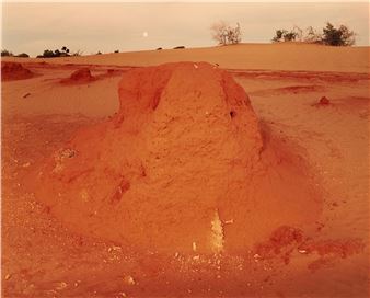 Ant Mound Near Darling River, NSW - Edwin Perry Douglas