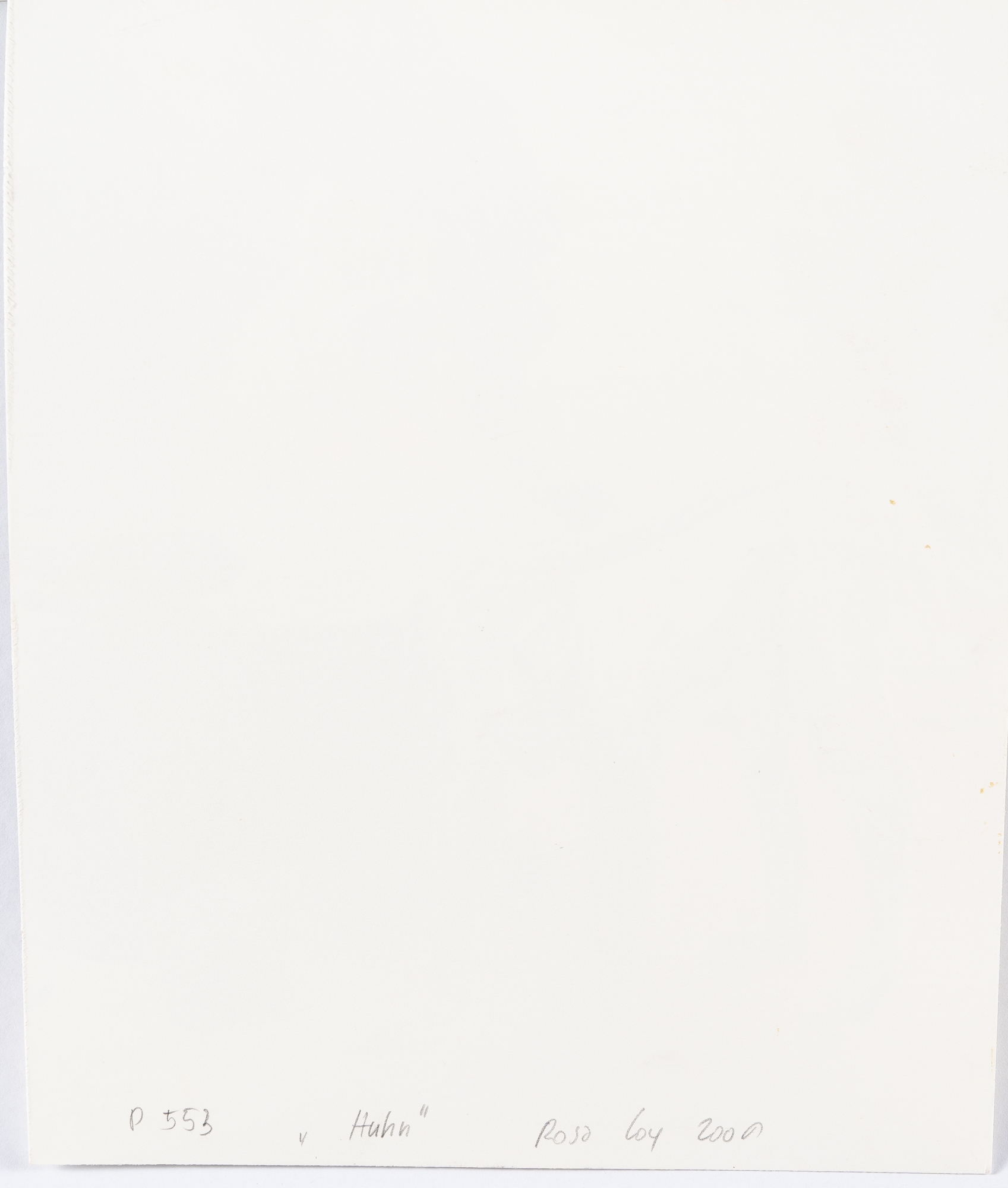 Artwork by Rosa Loy, “C󾱳”, Made of Chalk and coloured pen on cardboard