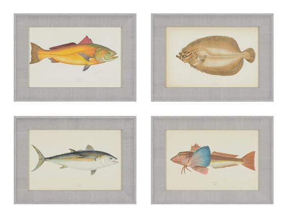 A SET OF TWENTY-FOUR DECORATIVE PRINTS OF FISH - J. Couch