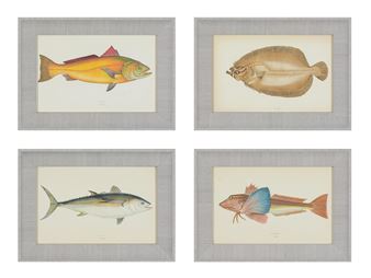 A SET OF TWENTY-FOUR DECORATIVE PRINTS OF FISH - J. Couch