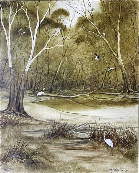 Billabong Wild by Rob Taylor, 1982