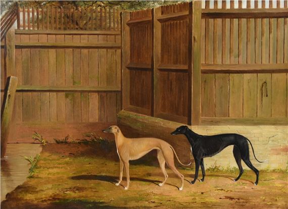 Study of two greyhounds by George Fenn