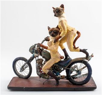 Strays - Jo-Ellen Trilling