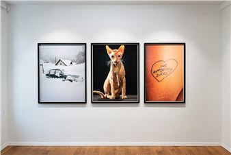 Anna Laudel Düsseldorf Presents Lennart Brede's Solo Exhibition: "Because You Want to Be Loved"