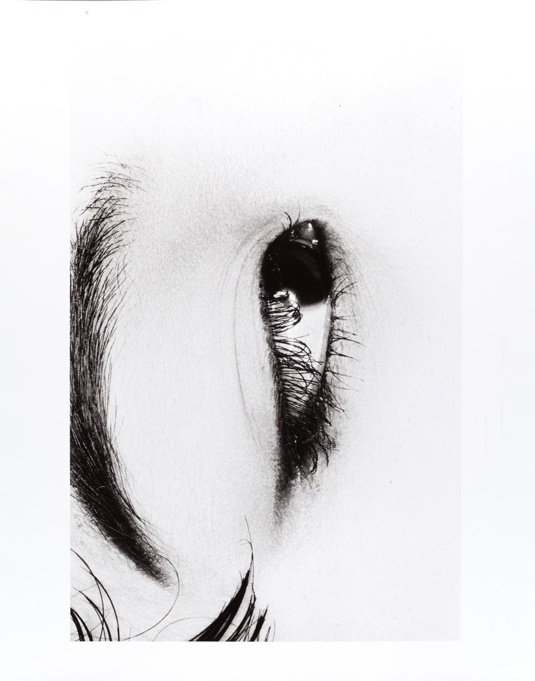 Artwork by Nobuyoshi Araki, Untitled, Made of Gelatin silver print