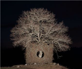 Openings - Galerie Anhava