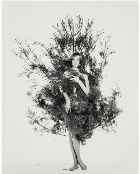Nena in Fir Tree by William Helburn, circa 1959