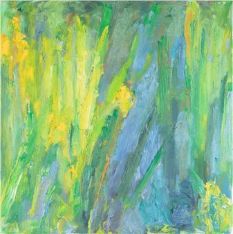 Iris pseudacorus, summer of 2007 - Heinrich Ilmari Rautio