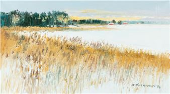 Shore landscape - Jussi Vesanen