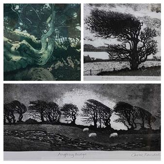 Anglesey Tree II; Anglesey Hedge; Canal Bank - Carloe Randall