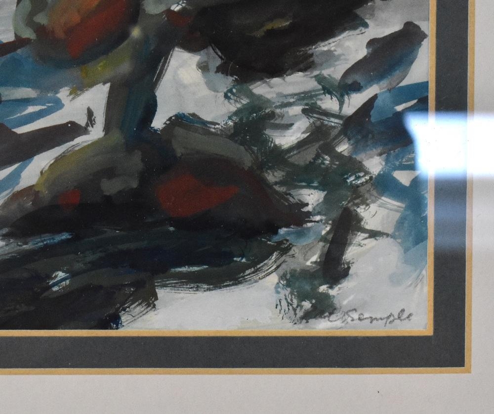 Pat Semple | a coastal scene | MutualArt