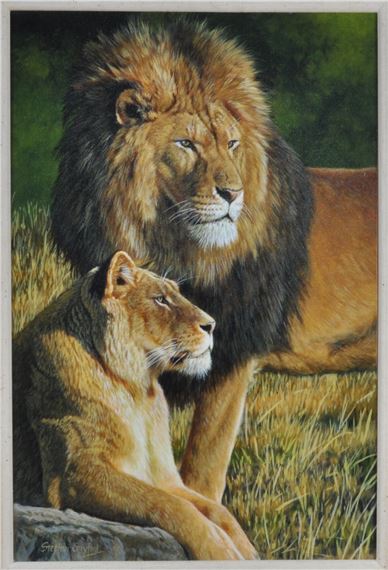 - Royalty; African lions in Tarangire National Park by Stephen Gayford, 2012