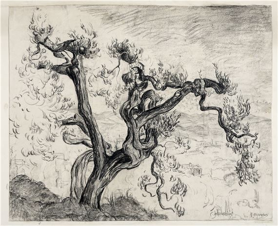 OLIVO NELLA CAMPAGNA LIGURE; Cipressi toscani