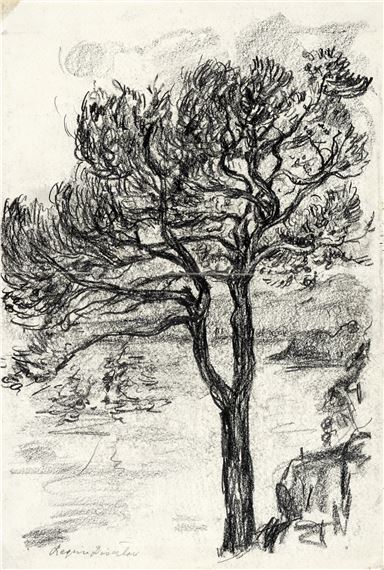 Campagna toscana; Albero