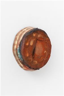 Yohan Hàn at Parliament