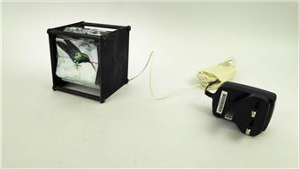 Quiknesse - Juan Fontanive