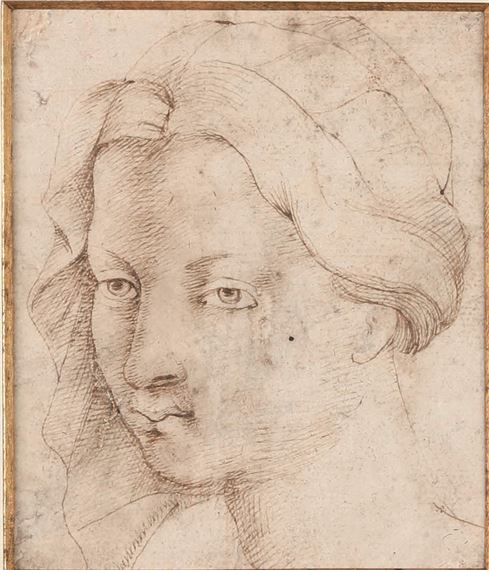 Testa di donna by Italian School, 16th Century