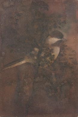 Untitled (Bird on Tree) by Abanindranath Tagore, Circa 1930s