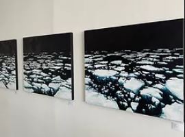 Eileen Wold: Arctic Amplification - Core Gallery