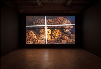 Amie Siegel: Bloodlines - Thomas Dane Gallery, London (11 Duke Str)