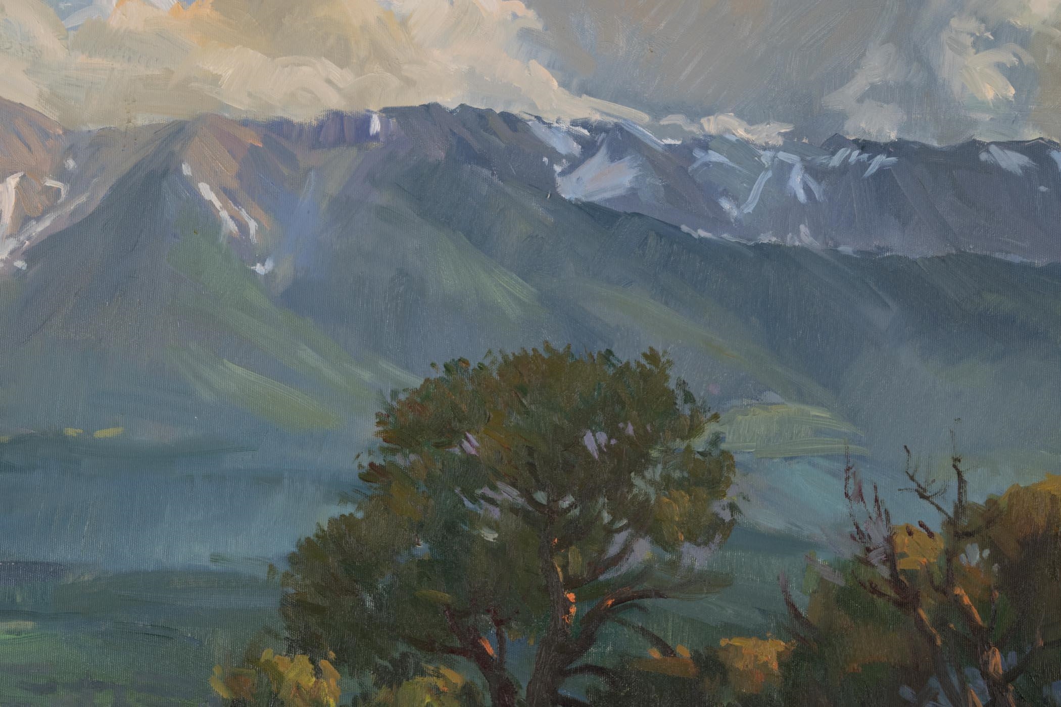 Donald Ricks | wildflowers with mountain range in the background ...