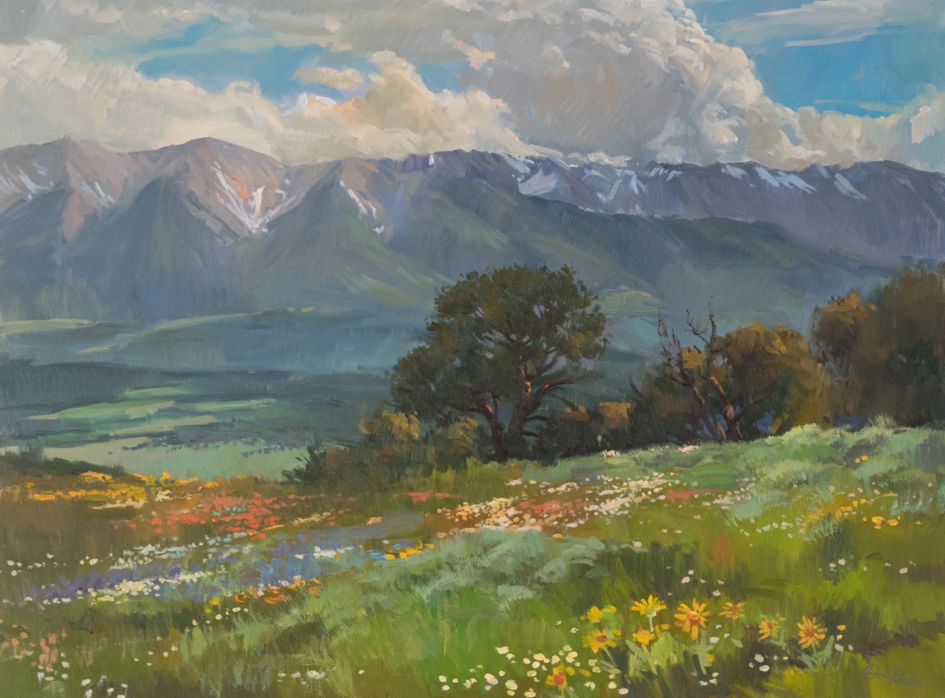 Donald Ricks | wildflowers with mountain range in the background ...