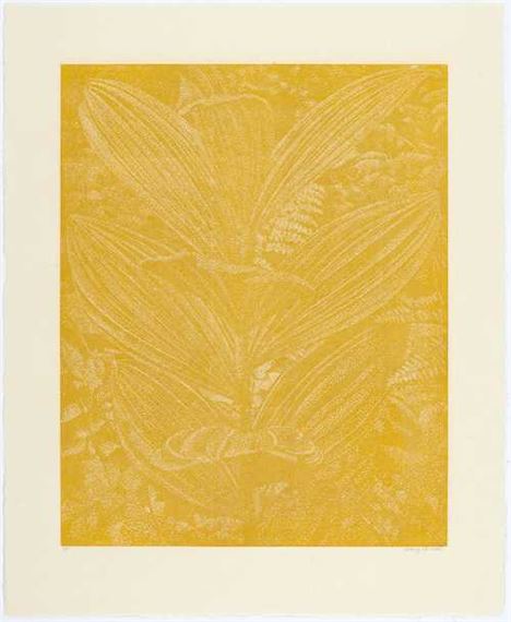 Gelber Enzian (gelb)