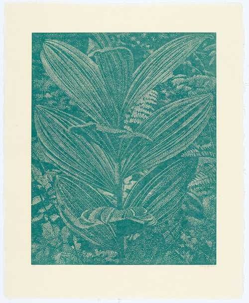 Artwork by Franz Gertsch, Gelber Enzian (turquoise), Made of Woodcut in colour  on Kumohadamshi Japan paper