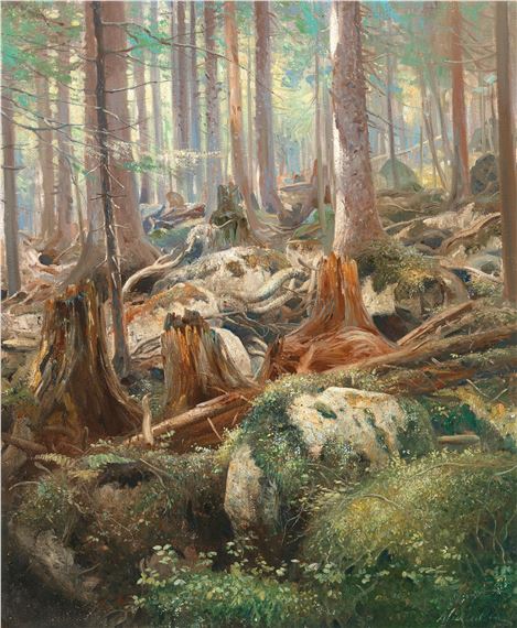 The Bohemian Forest in the Morning by Anton Filkuka