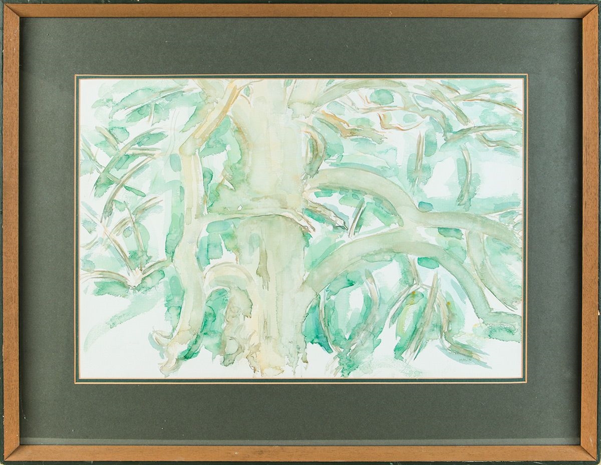 Artwork by Norman Anthony Malin, TREE STUDY V, Made of WATERCOLOUR DRAWING