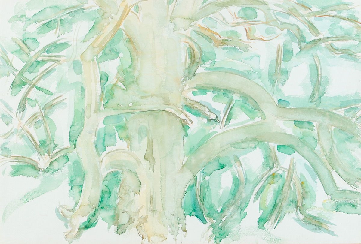 Artwork by Norman Anthony Malin, TREE STUDY V, Made of WATERCOLOUR DRAWING