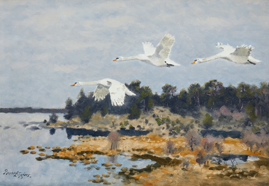 Artwork by Bruno Liljefors, Sträckande svanar, Made of oil on canvas