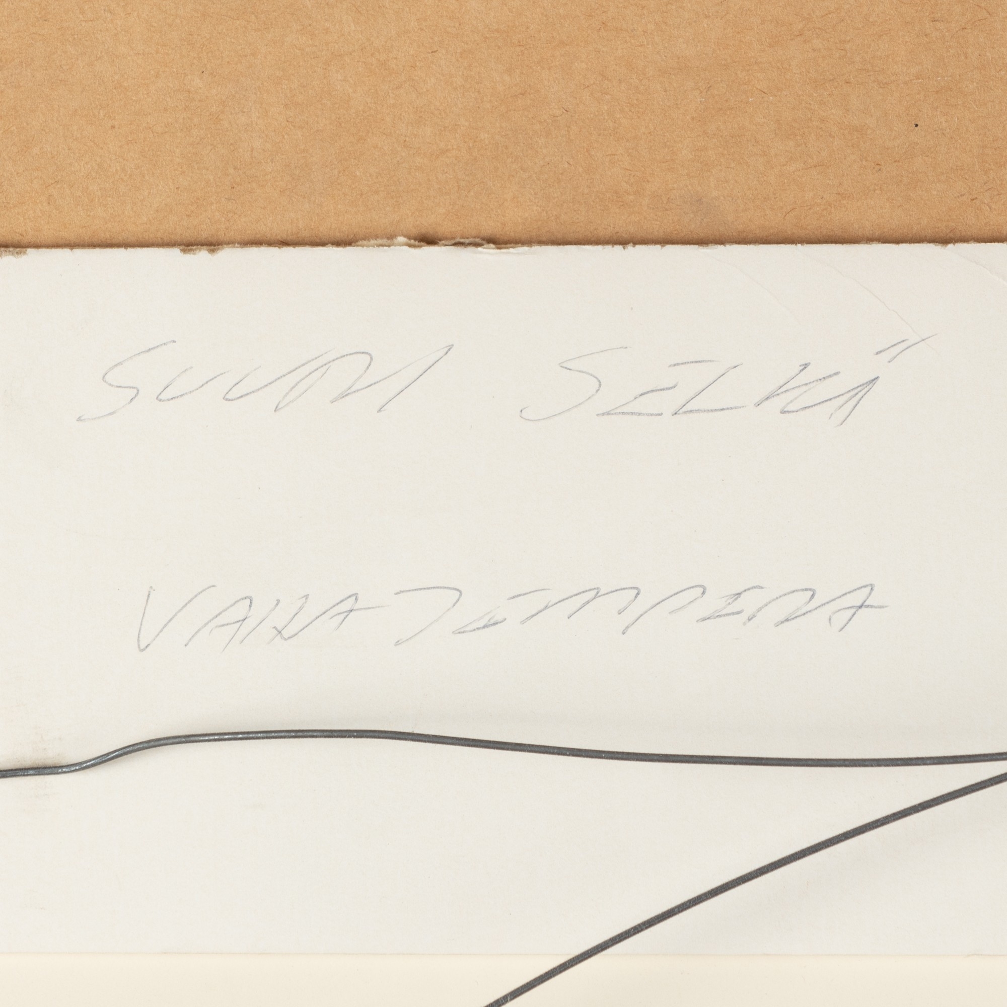 Artwork by Olavi Pajulahti, Suuri selkä, Made of mixed media