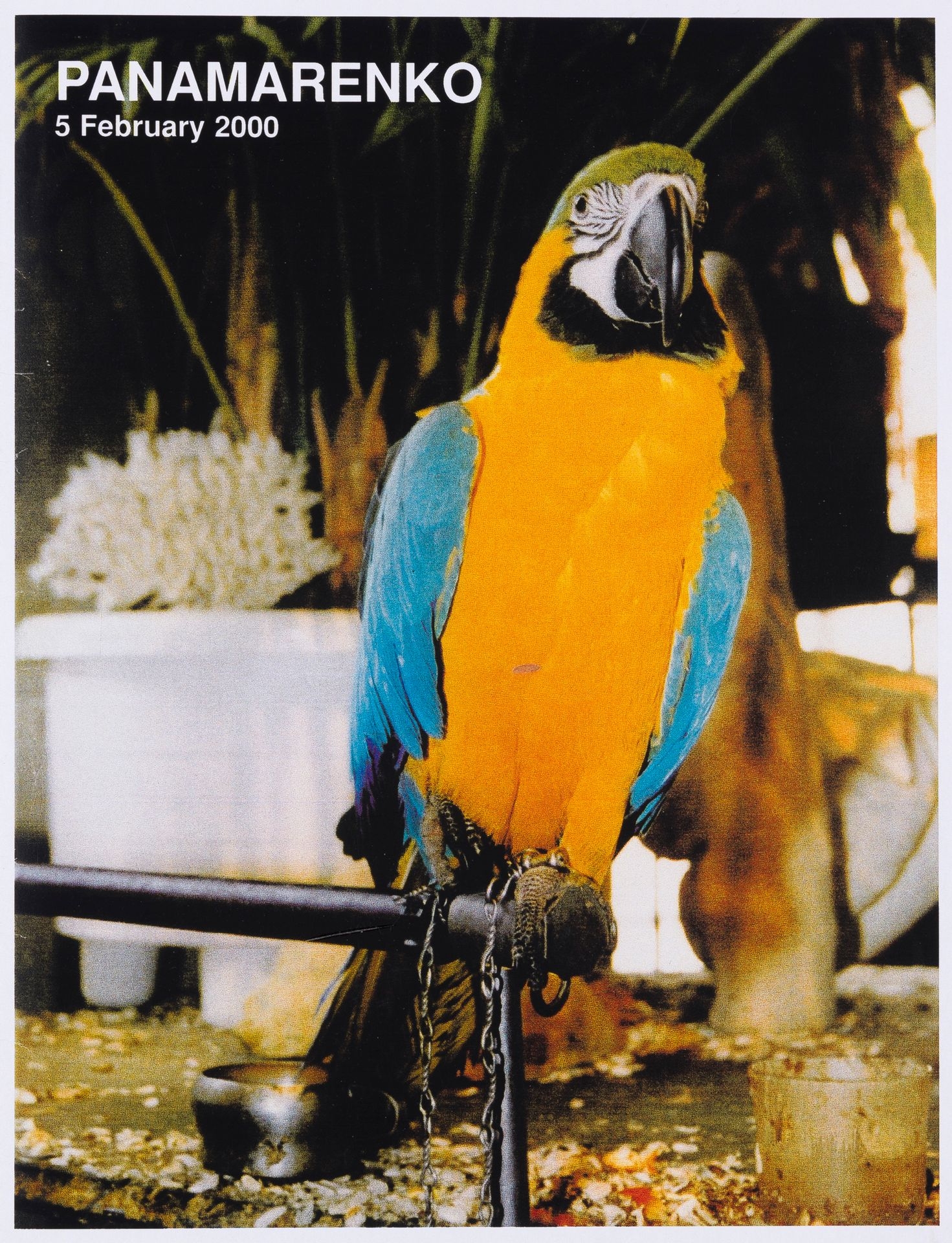 The Parrot by Panamarenko
