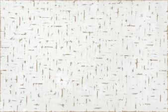 Conditional Plane 1752 - Choi Myoung-Young