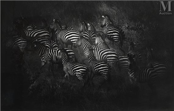 Les zèbres by Nicolas Bruant, 2004