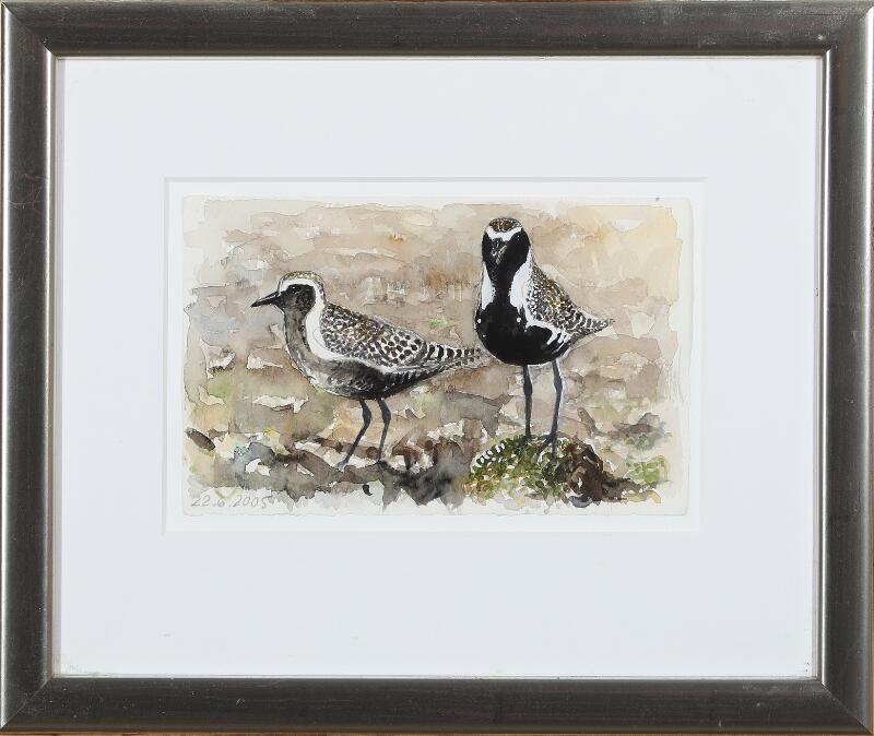 Artwork by Jens Gregersen, Three studies of birds, Made of Mixed media on paper