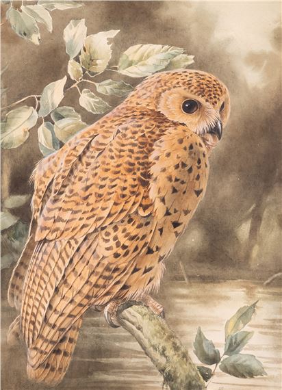 An owl perched on a branch signed 'Rena' by Rena Fennessy