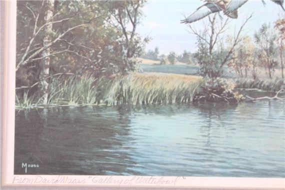 David Maass | Leveling Off Pintail | MutualArt