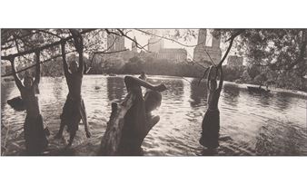 Central Park in Platinum, - Bruce Davidson