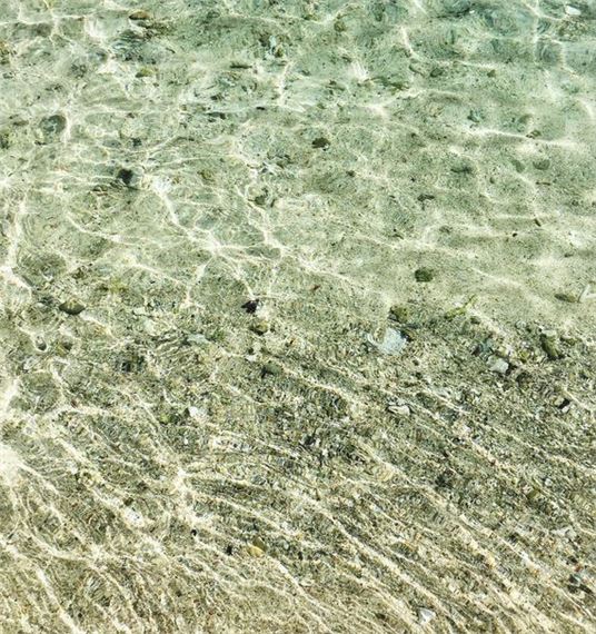 Coral Beach - Erica Van Zon