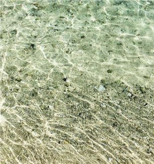 Coral Beach - Erica Van Zon